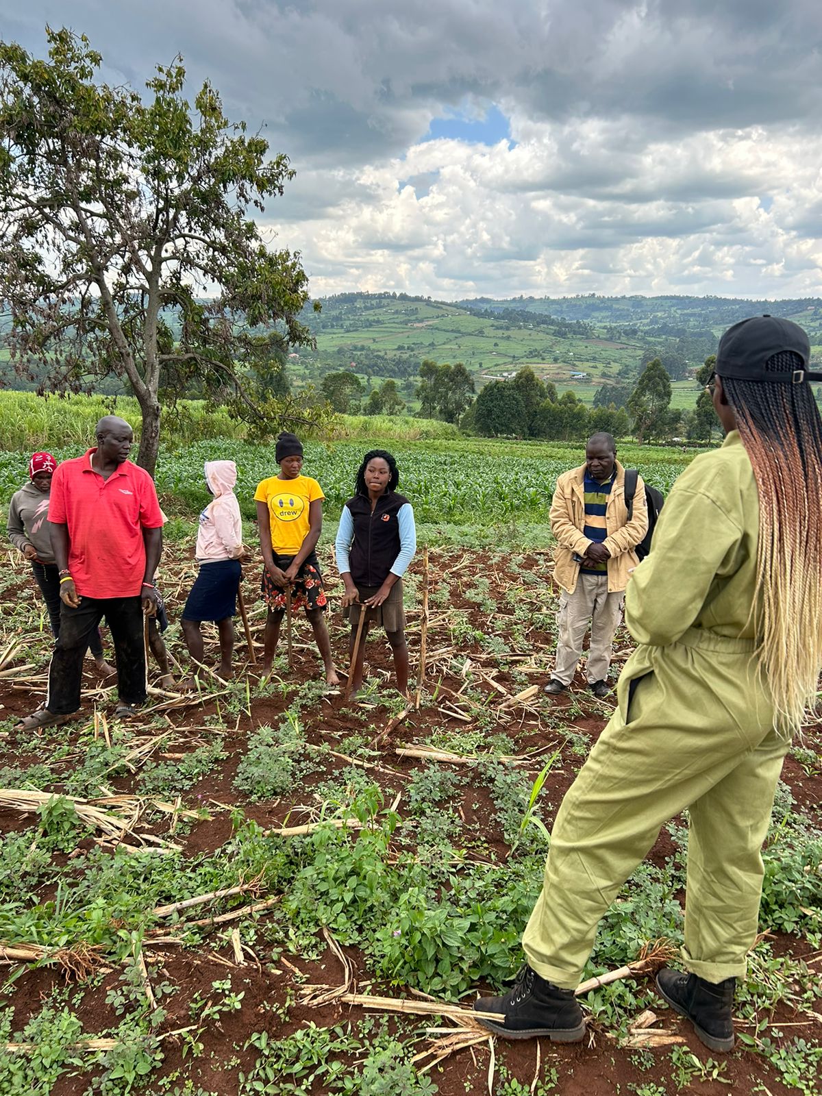 vegetables
